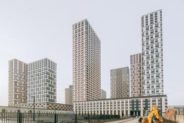 Ноябрь, 2020
