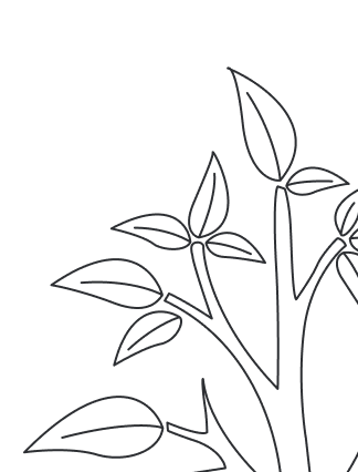 Лаундж&#8209;<wbr>зона
