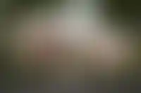 Успенский 5