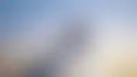 Левел Звенигородская