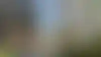 О компании